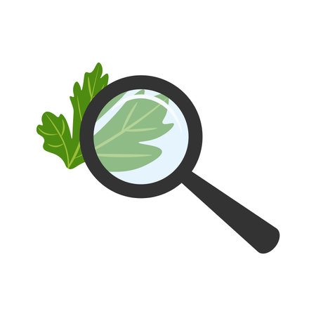 Checking parsley with a magnifying glass. Analyzing food with a magnifying glass during quality control. food analysis conceptのイラスト素材