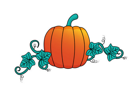 Pumpkin icon for Halloween or Thanksgiving. Vector illustration isolated on white backgroundのイラスト素材