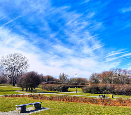 Landscape of a field of grass, trees, benches, sky and greenery in a public park