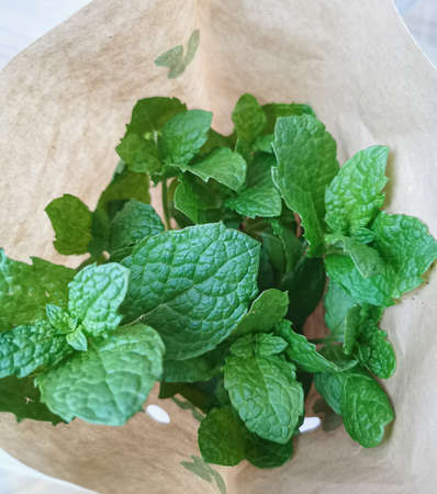 Closeup of fresh green mint leaves