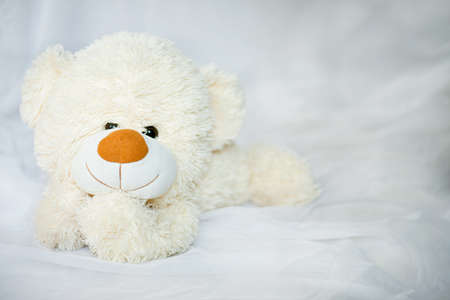 Teddy Bear lying in the bedの写真素材