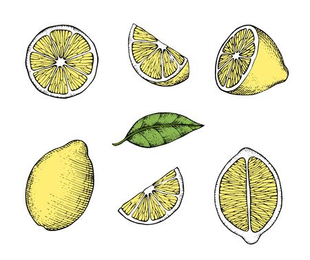 Set of stylized hand drawn lemons and water splashes.Perfect for restaurant menu backdrop, healthy food concept, juice bar,for cards and prints.のイラスト素材