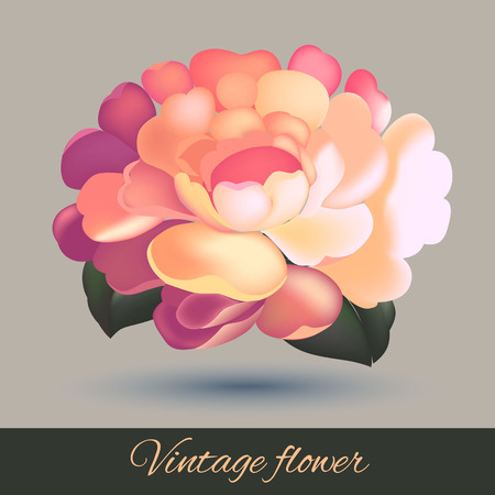 Flower element isolated. Cute retro design in bright colors for stickers, labels, tags, gift wrapping paper.のイラスト素材