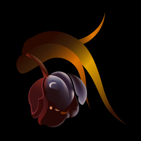 Flower element on black background. Cute retro design in bright colors for stickers, labels, tags, gift wrapping paper.のイラスト素材