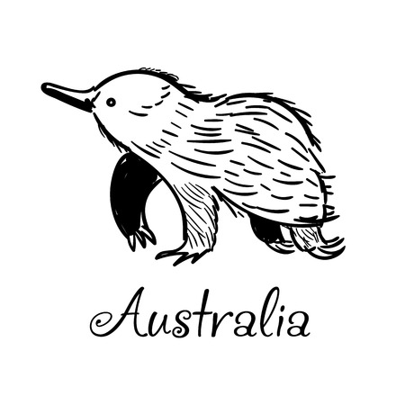 Handdrawn Echidna icon in doodle style with text for business. Vector illustration.のイラスト素材