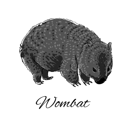 Handdrawn Echidna icon in doodle style with text for business. Vector illustration.のイラスト素材