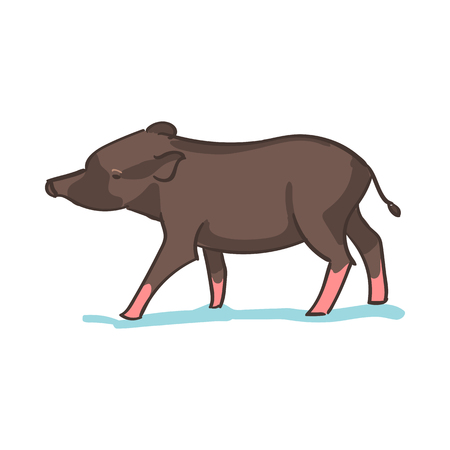 Realistic colored sketch vector illustration of farm pigのイラスト素材