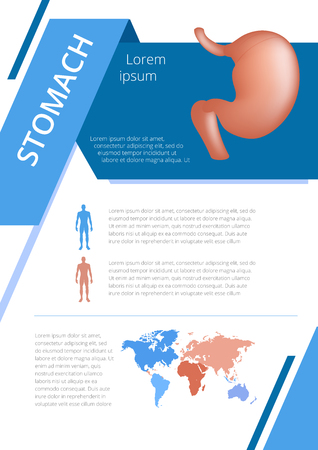 Internal human organs infographic. Medicine poster. Medical brochure template. stomach Vector illustrationのイラスト素材
