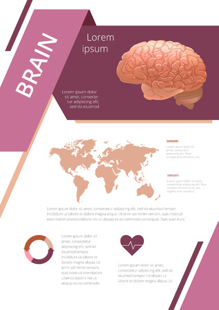 Internal human organs infographic. Medicine poster. brain Medical brochure template. Vector illustrationのイラスト素材