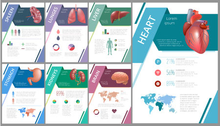 Internal human organs infographic spleenのイラスト素材