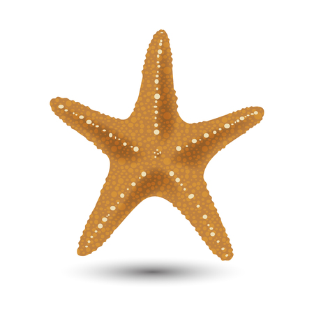 badges, stickers, starfish in realistic style isolated on white. Print, template, design element Vector illustration,のイラスト素材