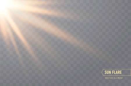 Realistic Sun flare. starburst vector, transparent white lightのイラスト素材