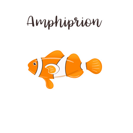 Cartoon clown fish. Amphiprion vector realistic illustration. Sea fishのイラスト素材