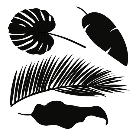 Vector illustration of Set of palm leaves silhouettes isolated on white background. EPS10のイラスト素材