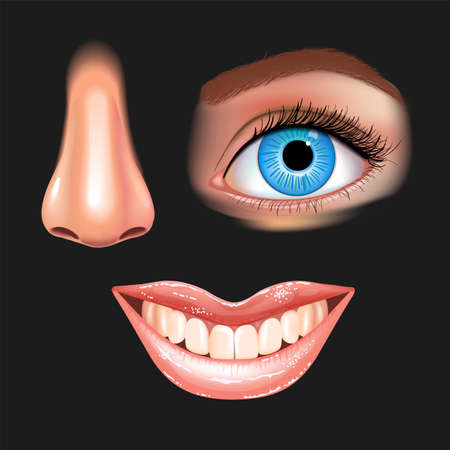 Set of beautiful female eye, nose and smiling mouth with glossy lips. Grinning teeth. Black background. Realistic Vector illustration.のイラスト素材