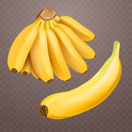 Set of realistic banana and baby bananas on checkered transparent background. Tropical fruits. 3D vector illustrationのイラスト素材