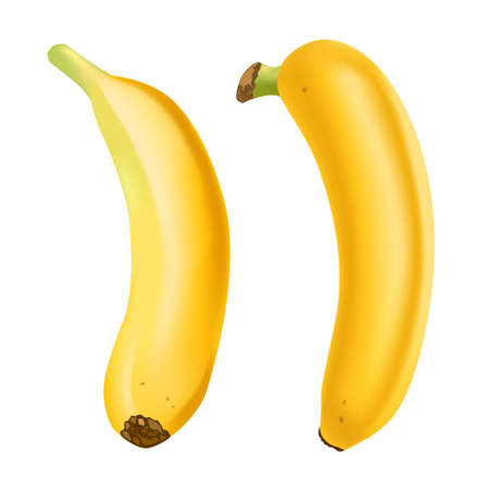 Set of 2 realistic bananas isolated on white background.. Tropical fruits. 3D vector illustrationのイラスト素材