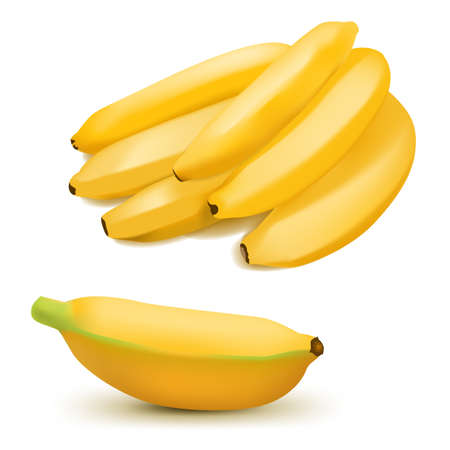 Set of realistic banana and baby bananas isolated on white background. Tropical fruits. 3D vector illustrationのイラスト素材