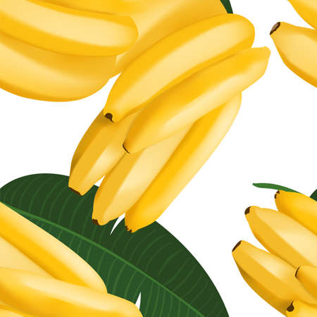 Trendy seamless pattern with realistic banana bunch and tropical leaves. Vector realistic illustrationのイラスト素材