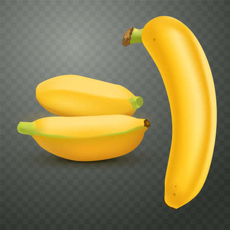 Set of realistic banana and baby bananas on checkered transparent background. Tropical fruits. 3D vector illustrationのイラスト素材