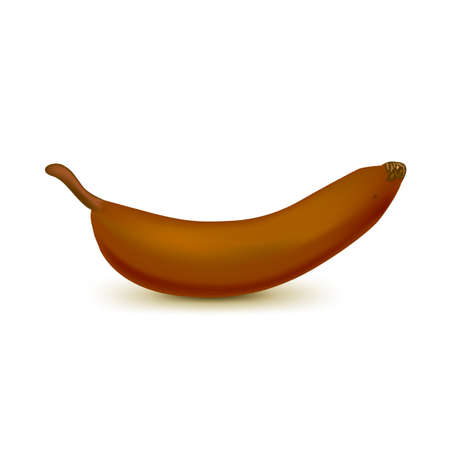 Realistic brown banana isolated on white background. Tropical fruit. Realistic vector illustrationのイラスト素材