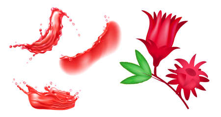 Set of red hibiscus flower and red liquid splashes. Vector realistic design elements.のイラスト素材