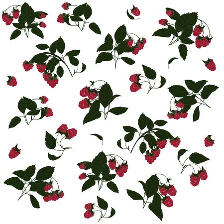 Seamless pattern with red raspberries. Raspberries on branches with green leaves.のイラスト素材