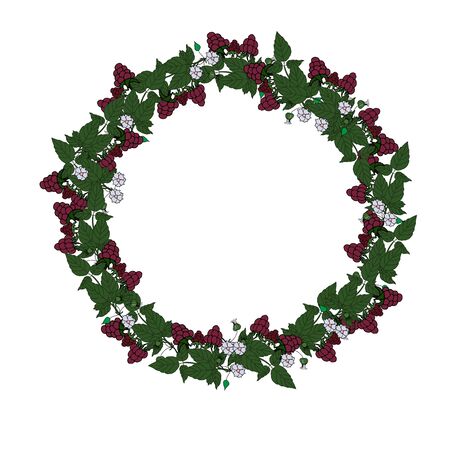 Pattern in the form of a wreath, a round label with berries and flowers. Raspberry berries are red with white flowers and green leaves. Red, white, green.のイラスト素材