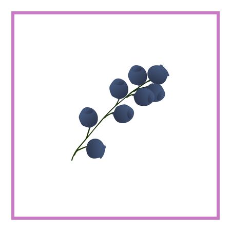 Blueberries are blue on a white background with green leaves. Blueberries with leaves 3D on a branchのイラスト素材