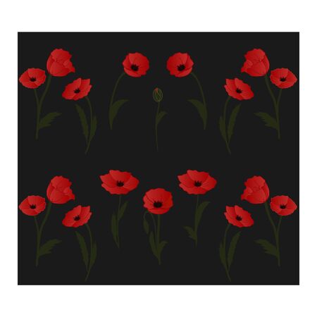 Seamless pattern with red poppies, flowers, buds and leaves. Floral pattern. Botanical pattern with red poppies. Bright, scarlet poppies in a seamless pattern. Black, redのイラスト素材