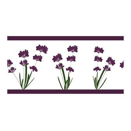 Seamless border, ornament with lavender flowers. Floral print with purple lavender flowers. Lavender in bouquets on a white background.. Vector illustrationのイラスト素材