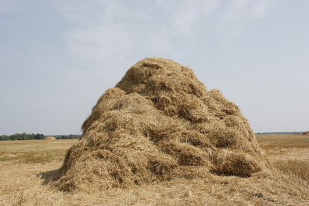 Haystack.の写真素材
