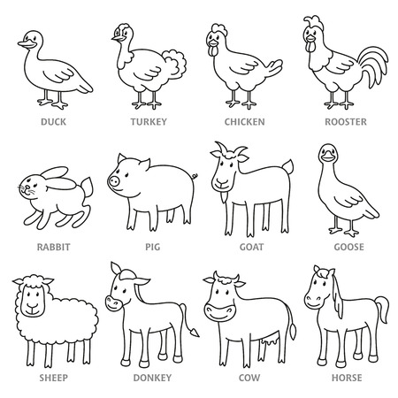 Set of line style cartoon farm animals. Stylized meat animaks and birdのイラスト素材