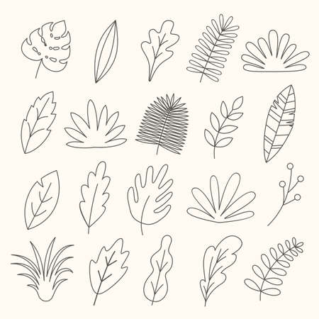 Set of linear leaves, herbs, branches, tropical leaf, palm. Floral design element collectionのイラスト素材