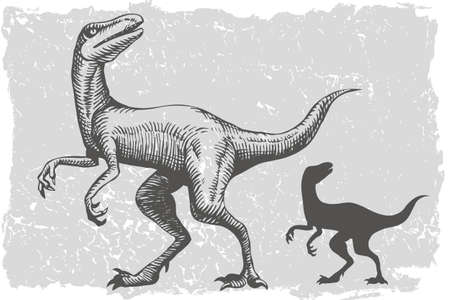 Dinosaur velociraptor grafic hand drawn and silhouette illustration. Animal vector drawing isolated on grunge backgroundのイラスト素材