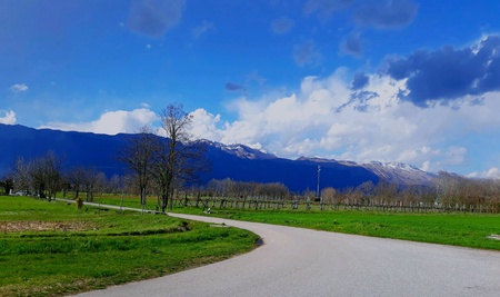 A long road is lost in the fields, in the middle of the trees 3 with the background of snow-capped mountainsの素材