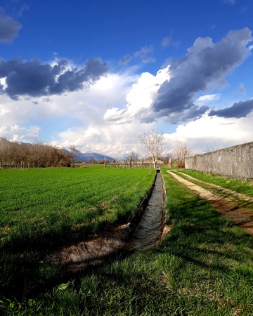 A green meadow a water channel of white and gray clouds in the blue skyの素材
