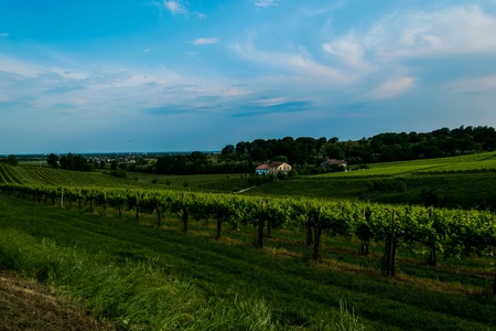 Among the hills of Conegliano among the Prosecco wine vineyards, here are three paoaveriの素材