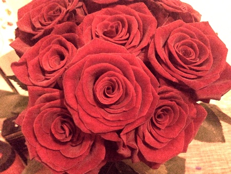 A spring bouquet of rosesの素材