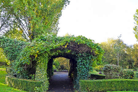 Tunnel of flowers and plants in a municipal park in Adare, County Limerick, Irelandの写真素材