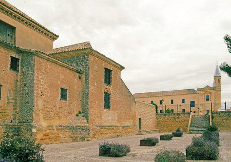 Detail of the facade of the Collegiate church and University of Osuna, Seville, Andalusia, Spainのeditorial素材