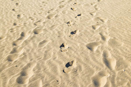 Footprint in wet sand of a beach