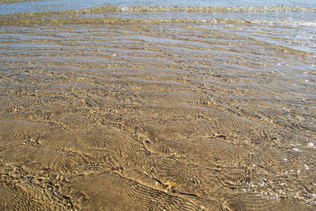 Transparent water on the shore of a beach with sea shells. Background and elements designの写真素材