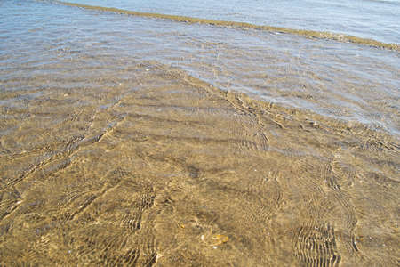 Transparent water on the shore of a beach with sea shells and sand in the background forming soft waves. Background and elements designの写真素材