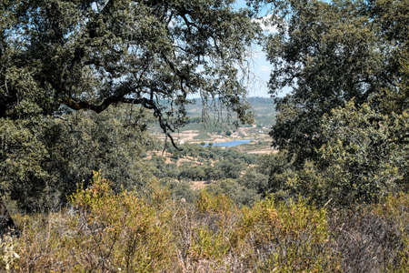 Dehesa in Valverde del Camino where the Los Gabrieles dolmen is located with the town reservoir in the background, Huelva, Andalusia, Spainの写真素材