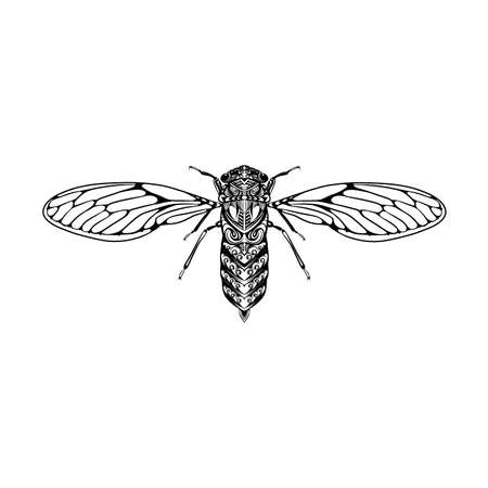 The illustration of the small flyのイラスト素材