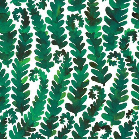 Hand drawn seamless watercolor pattern of green fern branchesの写真素材