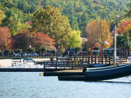 Turkey vultures at the Lake Lure beachの写真素材