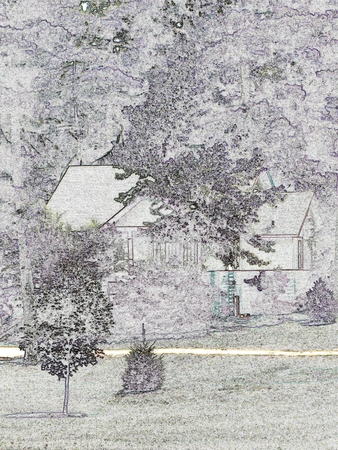 Cabin among trees and shrubsのイラスト素材