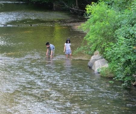 Fletcher, NC - August 2, 2011 - Children enjoying the Cane Creek on a hot summer dayのeditorial素材